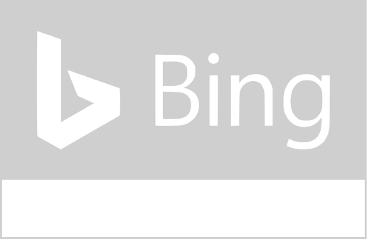 Bing Partner